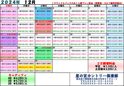 2024年12月料金